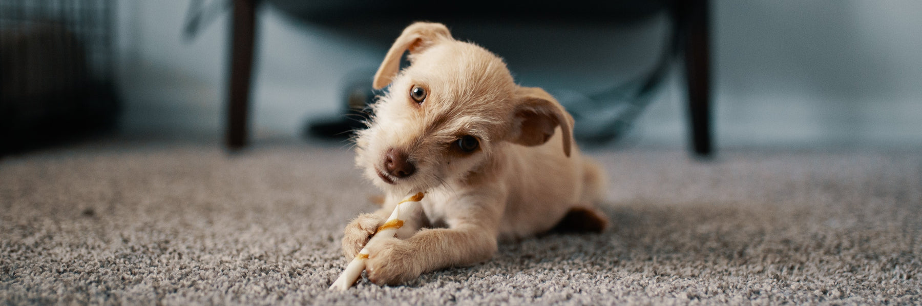 Farmhouse Kitchen Rugs: Embrace Charm and Elegance with Black and White Delight