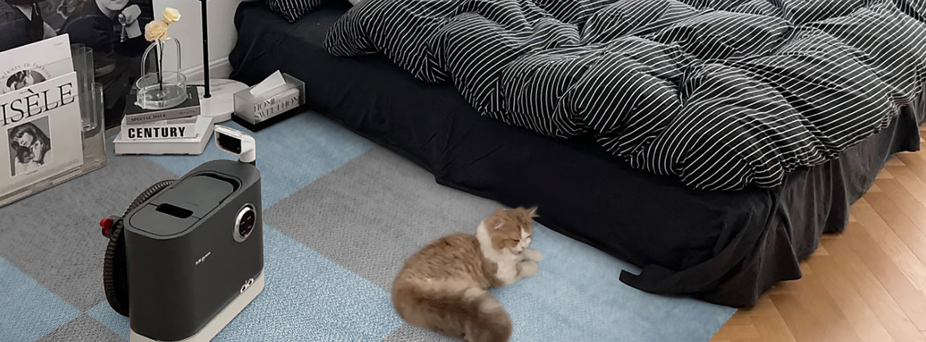 One Instagram-inspired room features Matace gray and light blue carpet squares, with a cat sitting on the carpet squares for a cozy look.