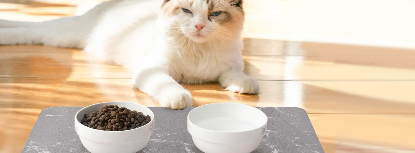 A ragdoll cat is lying in front of the matace pet feeding mat because her rice bowl filled with food is placed on the matace pet feeding mat.